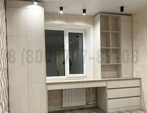Рабочая зона модель r243 купить в Воскресенске